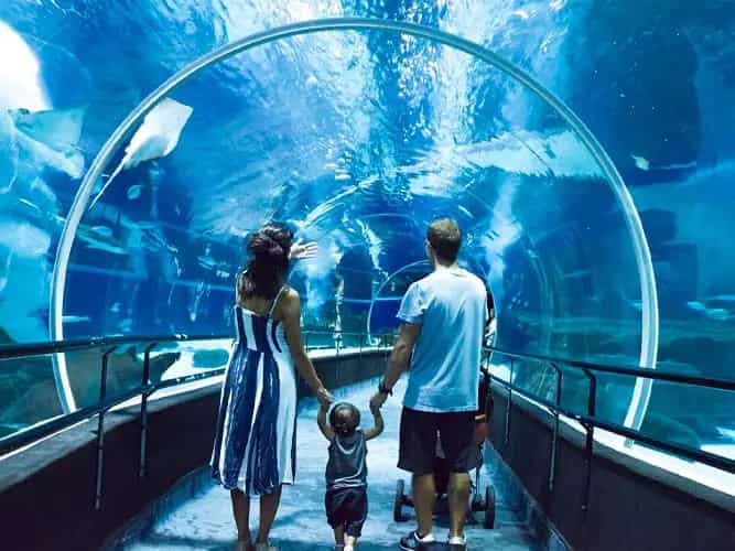 AquaRio + Boulevard Olímpico