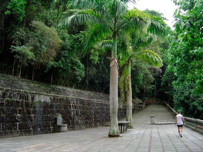 Parque Lage e Floresta da Tijuca - 1