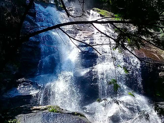 Parque Lage e Floresta da Tijuca - 2