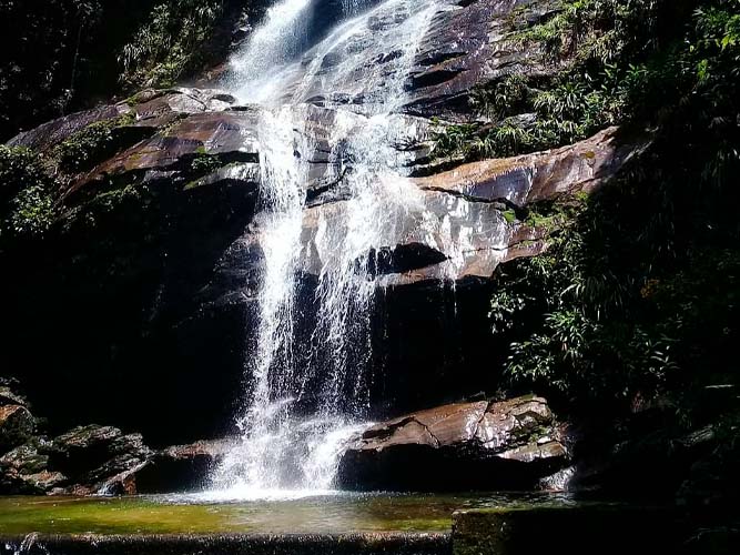 Parque Lage e Floresta da Tijuca - 7