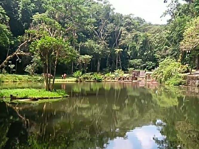 Parque Lage e Floresta da Tijuca - 8