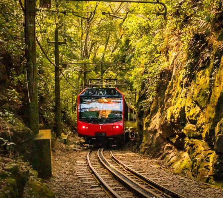 passeio trem do corcovado cristo redentor